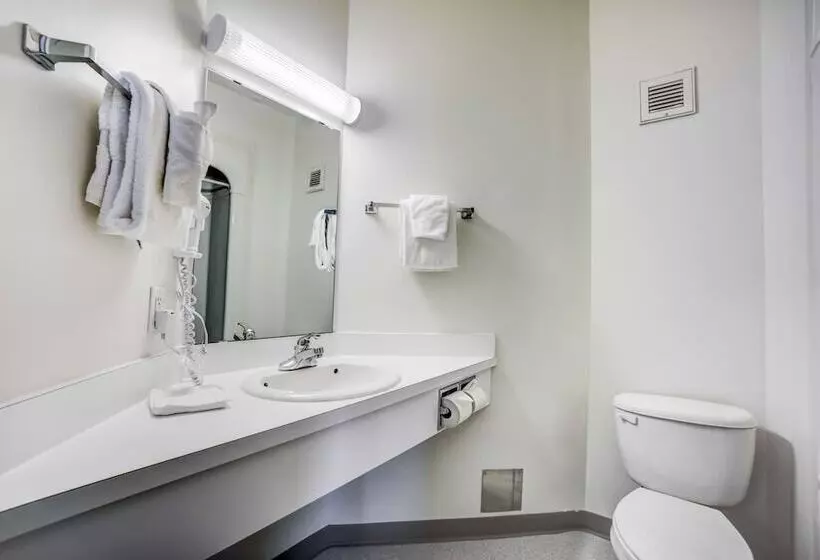 デラックスルーム, Motel 6 Red Deer, Ab