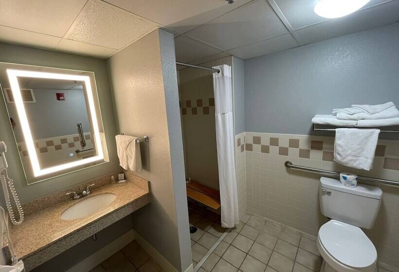 غرفة ديلوكس لذوى الاحتياجات الخاصة, Americinn By Wyndham Sayre