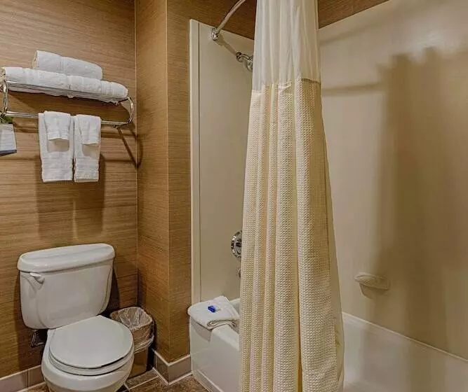 Sviitti, Best Western Plus Delta Inn & Suites