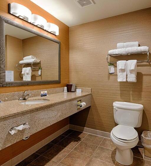 带大床的标准间, Best Western Plus Delta Inn & Suites