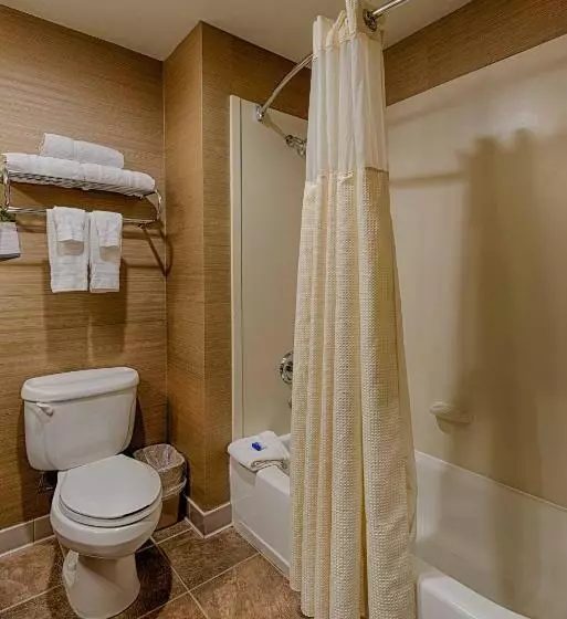 Standard-huone King-vuode, Best Western Plus Delta Inn & Suites