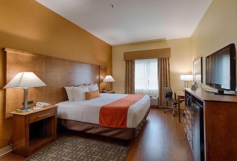 Suite Kingsize Bett, Best Western Plus Delta Inn & Suites