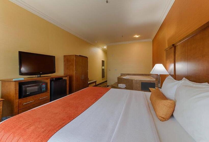 带大床的标准间, Best Western Plus Delta Inn & Suites