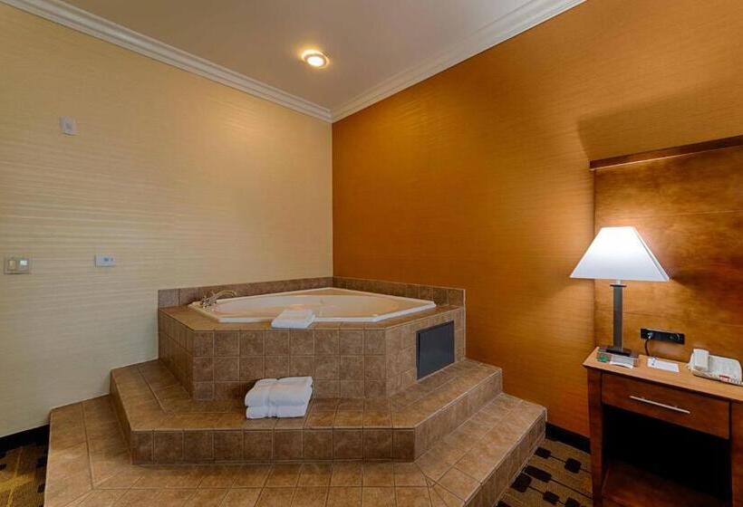 带大床的标准间, Best Western Plus Delta Inn & Suites