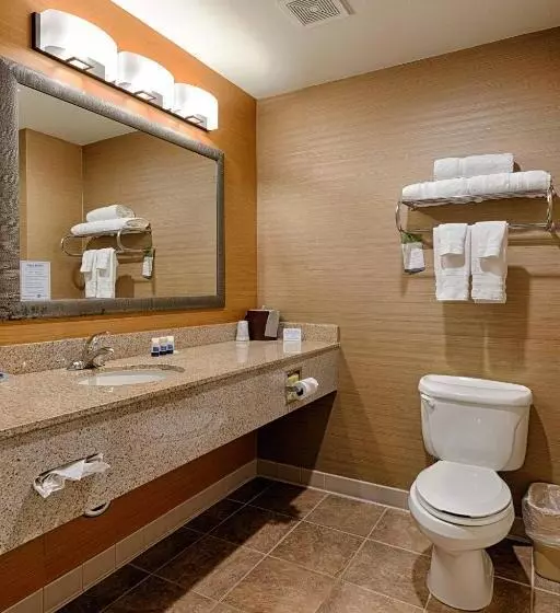 Standard-invahuone, Best Western Plus Delta Inn & Suites