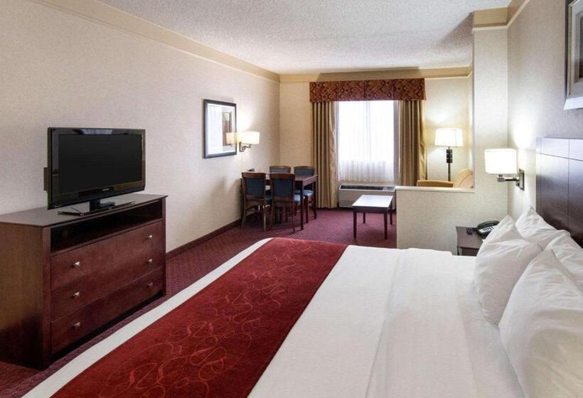 스위트 킹사이즈 침대, Comfort Suites Parkersburg South