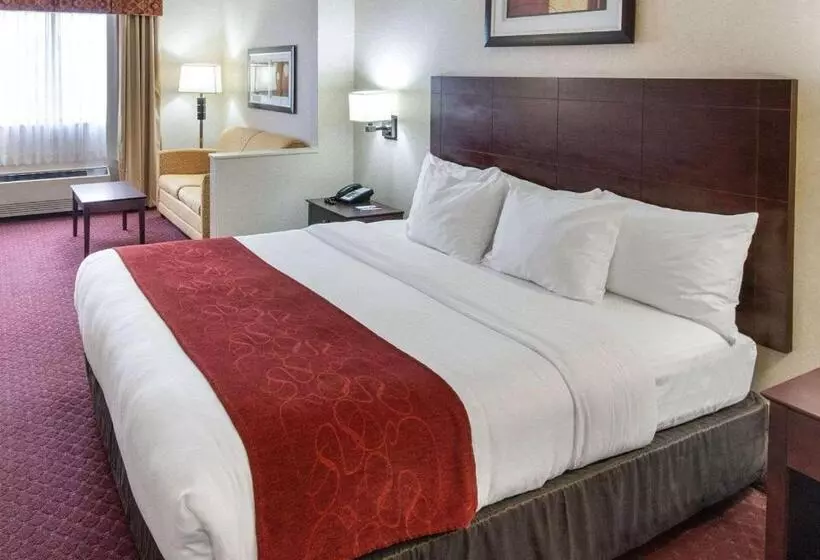 キングサイズベッドのスイートルーム, Comfort Suites Parkersburg South