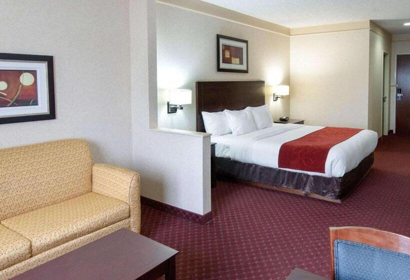 带大床的套房, Comfort Suites Parkersburg South