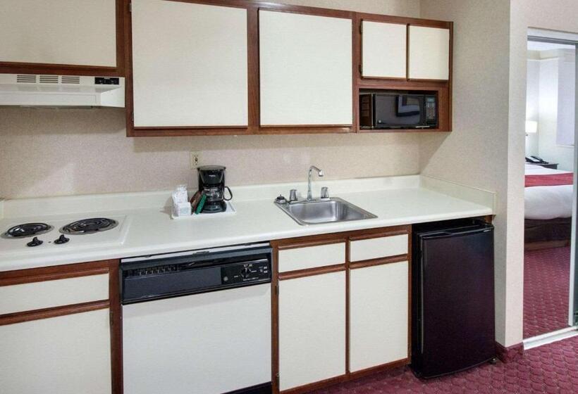 带大床的套房, Comfort Suites Parkersburg South