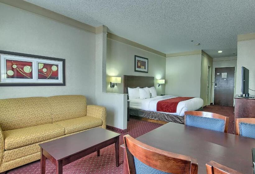 带大床的套房, Comfort Suites Parkersburg South