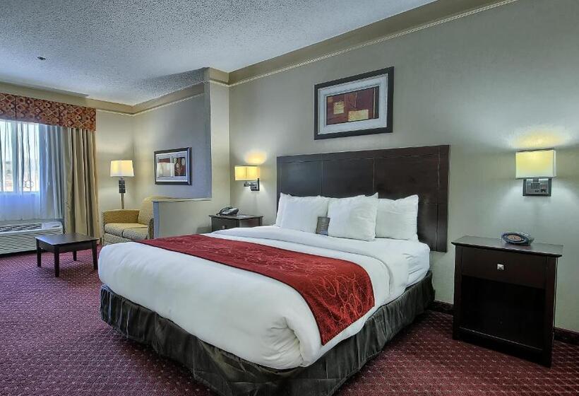 带大床的套房, Comfort Suites Parkersburg South