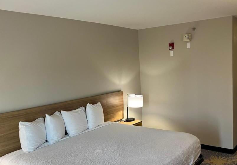 스탠다드 룸 킹사이즈 침대, Days Inn By Wyndham Laplace New Orleans