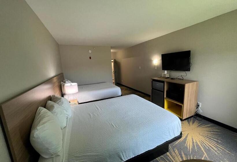 غرفة قياسية, Days Inn By Wyndham Laplace New Orleans