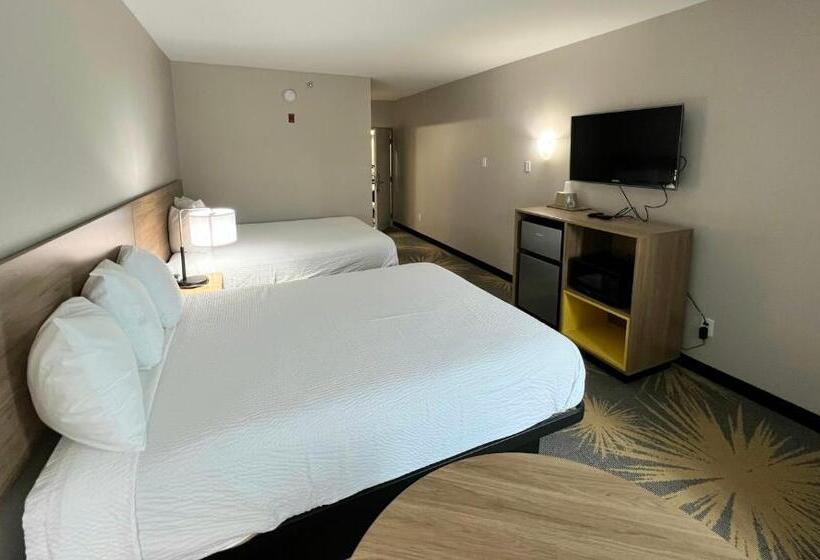 غرفة قياسية, Days Inn By Wyndham Laplace New Orleans