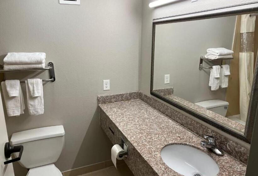 غرفة قياسية, Days Inn By Wyndham Laplace New Orleans