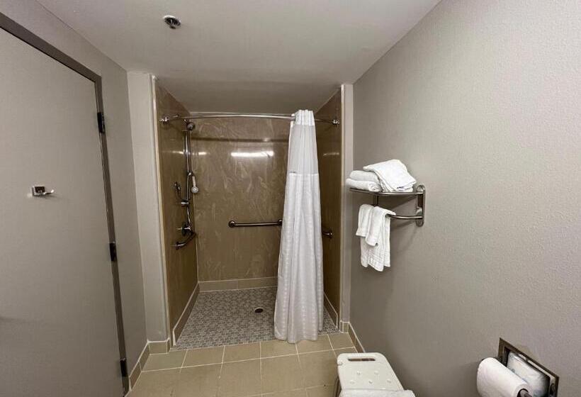 غرفة قياسية سرير كينج لذوى الإحتياجات الخاصة, Days Inn By Wyndham Laplace New Orleans