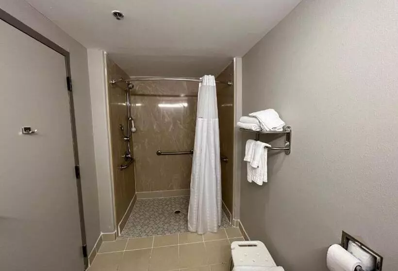 身障者適用キングサイズベッドルーム, Days Inn By Wyndham Laplace New Orleans