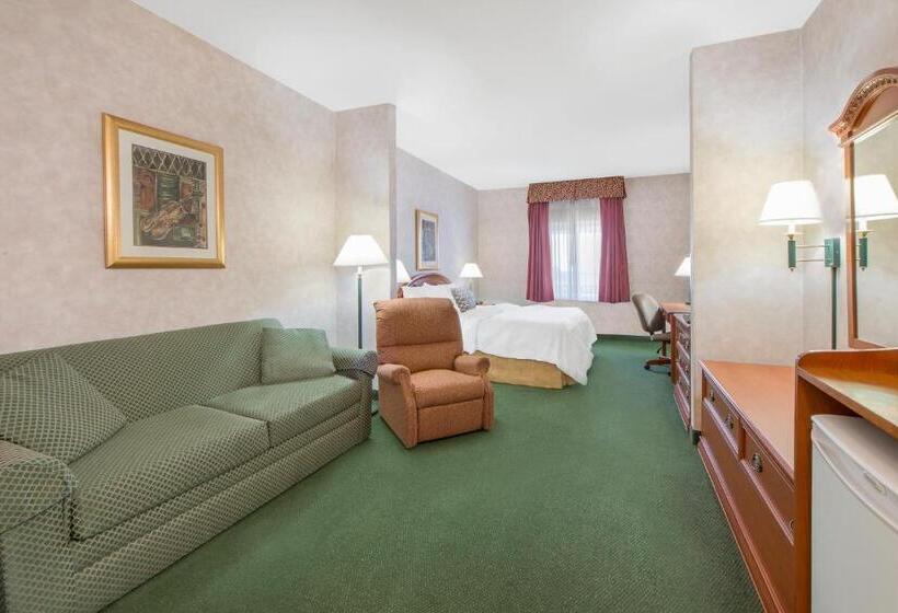 장애인을 위한 킹사이즈 침대 스탠다드 룸, Spark By Hilton Dumas