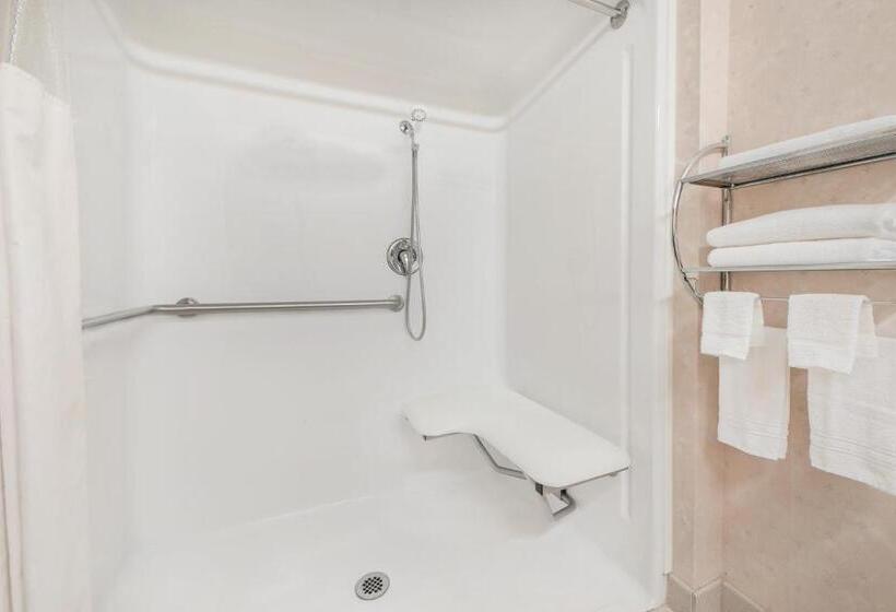 장애인을 위한 킹사이즈 침대 스탠다드 룸, Spark By Hilton Dumas