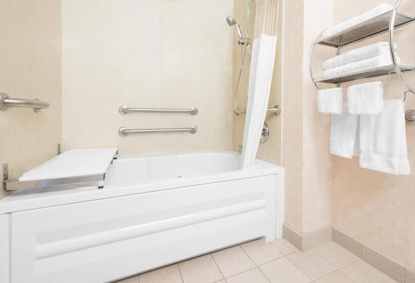 장애인을 위한 킹사이즈 침대 스탠다드 룸, Spark By Hilton Dumas