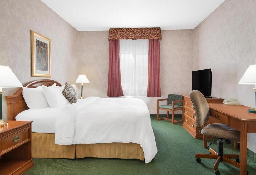 스위트 킹사이즈 침대, Spark By Hilton Dumas