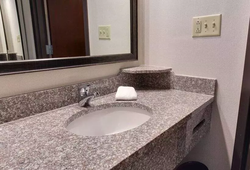 デラックスルーム, Drury Inn & Suites Nashville Airport