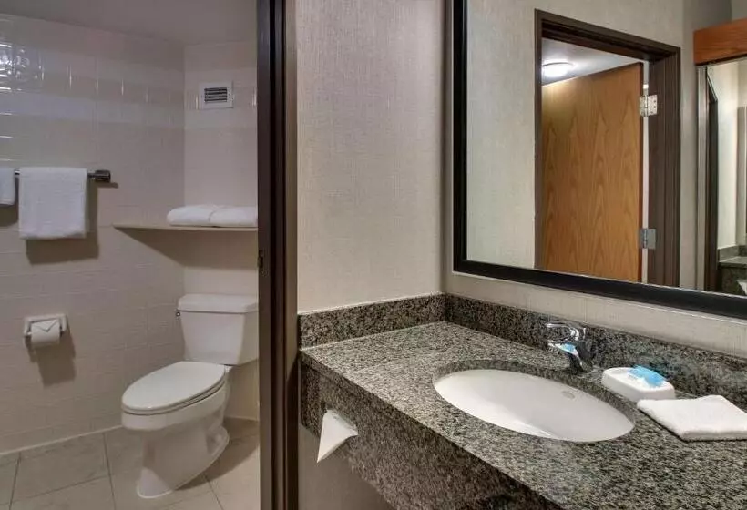 キングサイズベッドのデラックスルーム, Drury Inn & Suites San Antonio Northwest Medical Center