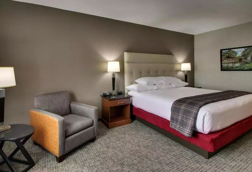 キングサイズベッドのデラックスルーム, Drury Inn & Suites San Antonio Northwest Medical Center