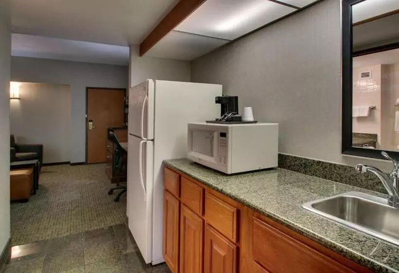 スイート, Drury Inn & Suites San Antonio Northwest Medical Center