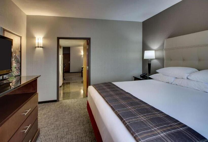 Suite Llit King, Drury Inn & Suites San Antonio Northwest Medical Center