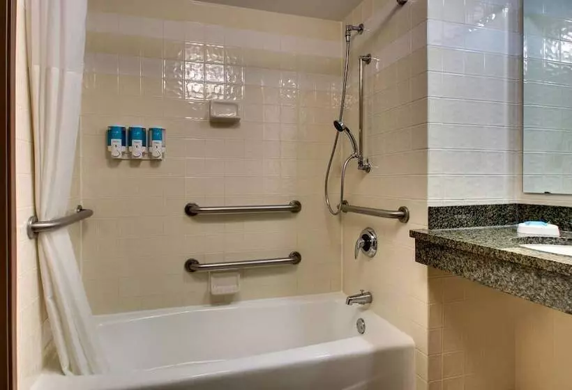 障害者適応デラックスルーム, Drury Inn & Suites San Antonio Northwest Medical Center