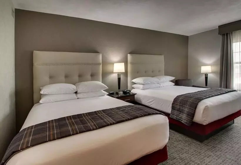 障害者適応デラックスルーム, Drury Inn & Suites San Antonio Northwest Medical Center