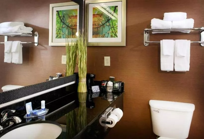 身障者適用スタンダードルーム, Fairfield Inn And Suites By Marriott Cincinnati Eastgate