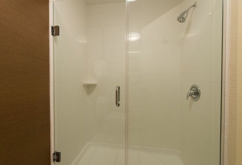 Люкс, Fairfield Inn & Suites Dallas Lewisville