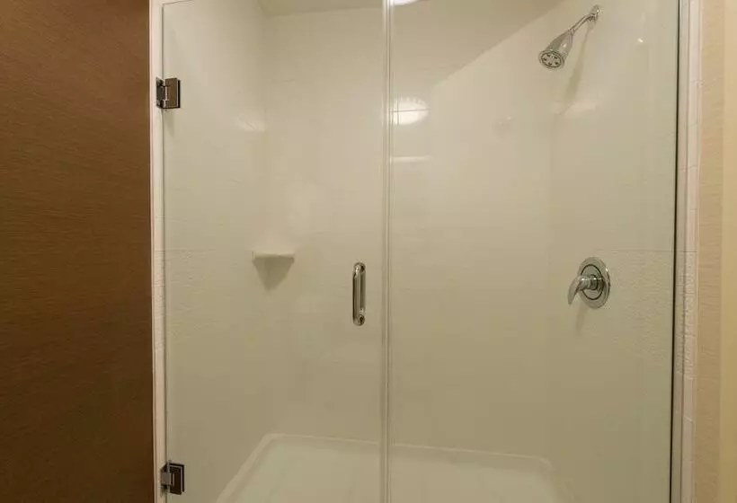 Sviitti, Fairfield Inn & Suites Dallas Lewisville