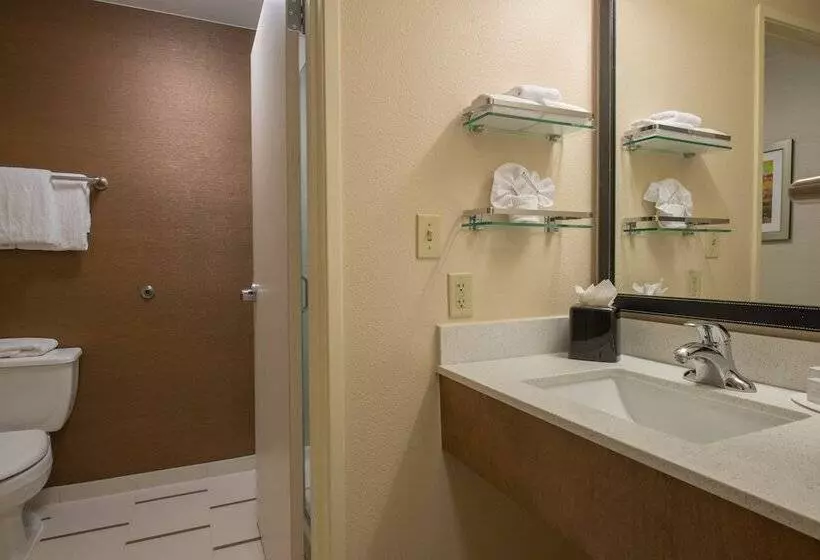 Sviitti, Fairfield Inn & Suites Dallas Lewisville