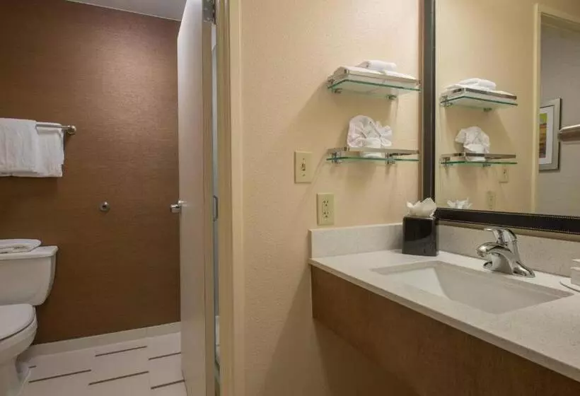 Standard-huone King-vuode, Fairfield Inn & Suites Dallas Lewisville