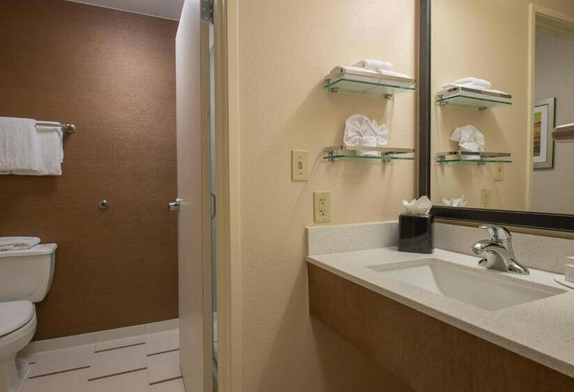 带大床的套房, Fairfield Inn & Suites Dallas Lewisville