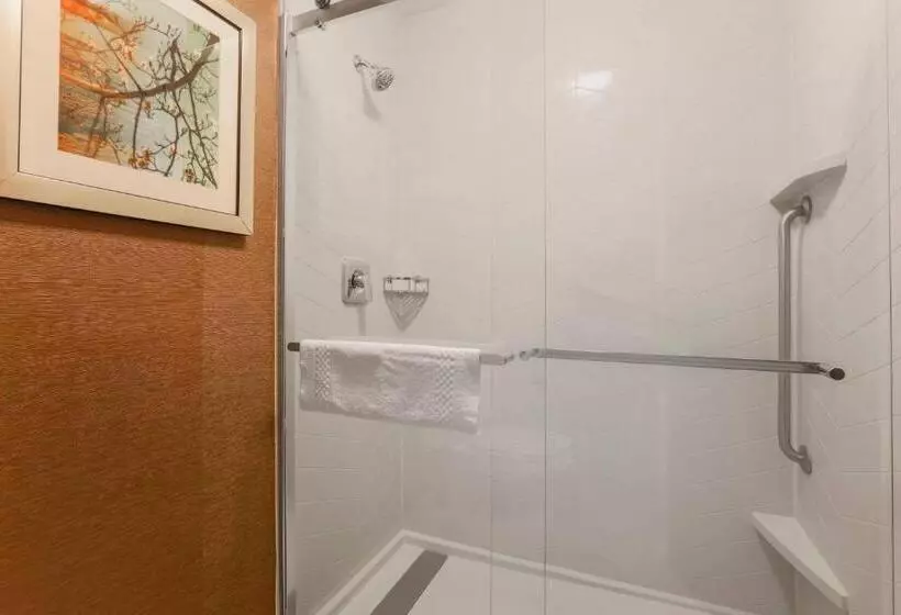 ２ダブルベッドのスタンダードルーム, Fairfield Inn & Suites By Marriott Yuma