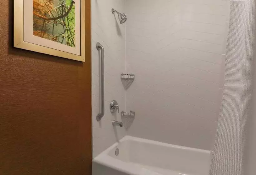 スタンダードルーム, Fairfield Inn & Suites By Marriott Yuma