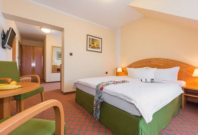 스탠다드 룸, Lohmann's Kapeller Hof