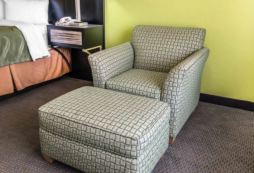 חדר סטנדרט עם מיטת קינג, Quality Inn Hinesville   Fort Stewart Area, Kitchenette Rooms   Pool   Guest Laundry