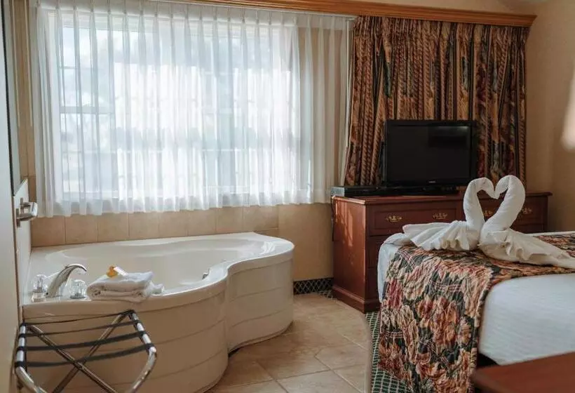 １ベッドルームアパートメント, Skaneateles Suites