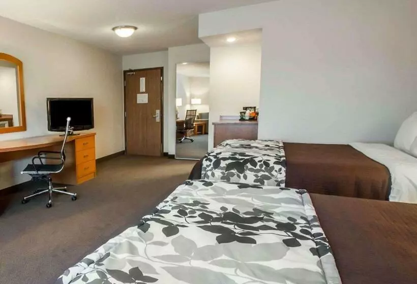 スタンダードルーム, Sleep Inn & Suites Lake Of The Ozarks