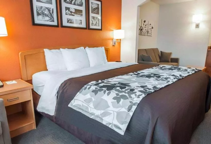キングサイズベッドのスイートルーム, Sleep Inn & Suites Lake Of The Ozarks