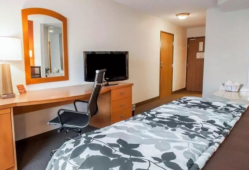 キングサイズベッドのスタンダードルーム, Sleep Inn & Suites Lake Of The Ozarks