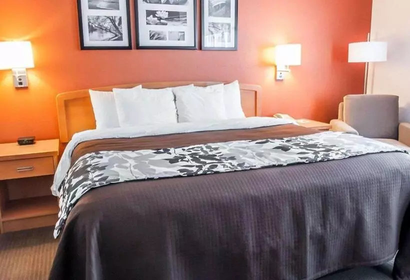 キングサイズベッドのスタンダードルーム, Sleep Inn & Suites Lake Of The Ozarks
