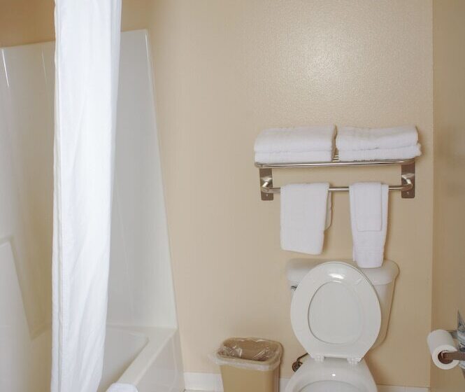 Номер Стандарт, Dutch Inn And Suites