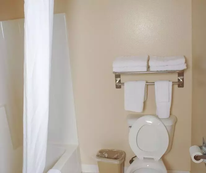 スタンダードルーム, Dutch Inn And Suites
