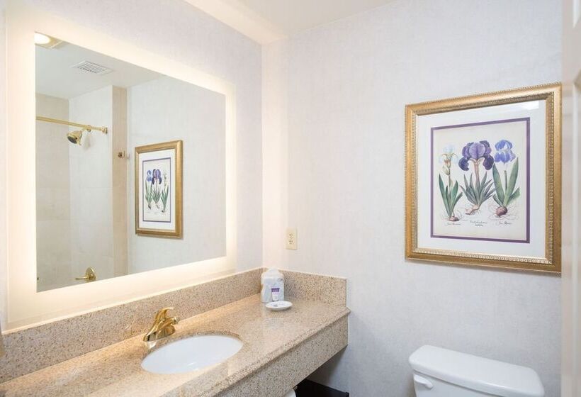 اتاق لوکس, The Cook Hotel And Conference Center At Lsu